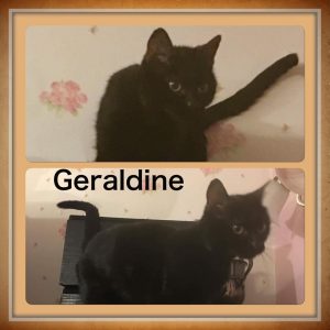 Geraldine