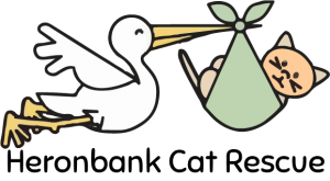 Heronbank Logo