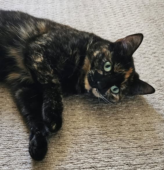 Winnie