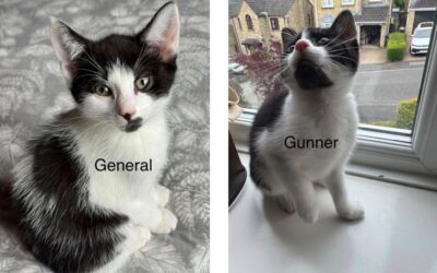 General & Gunner