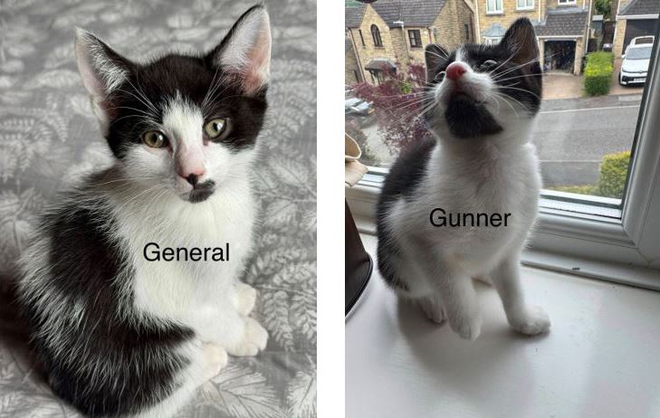 General & Gunner